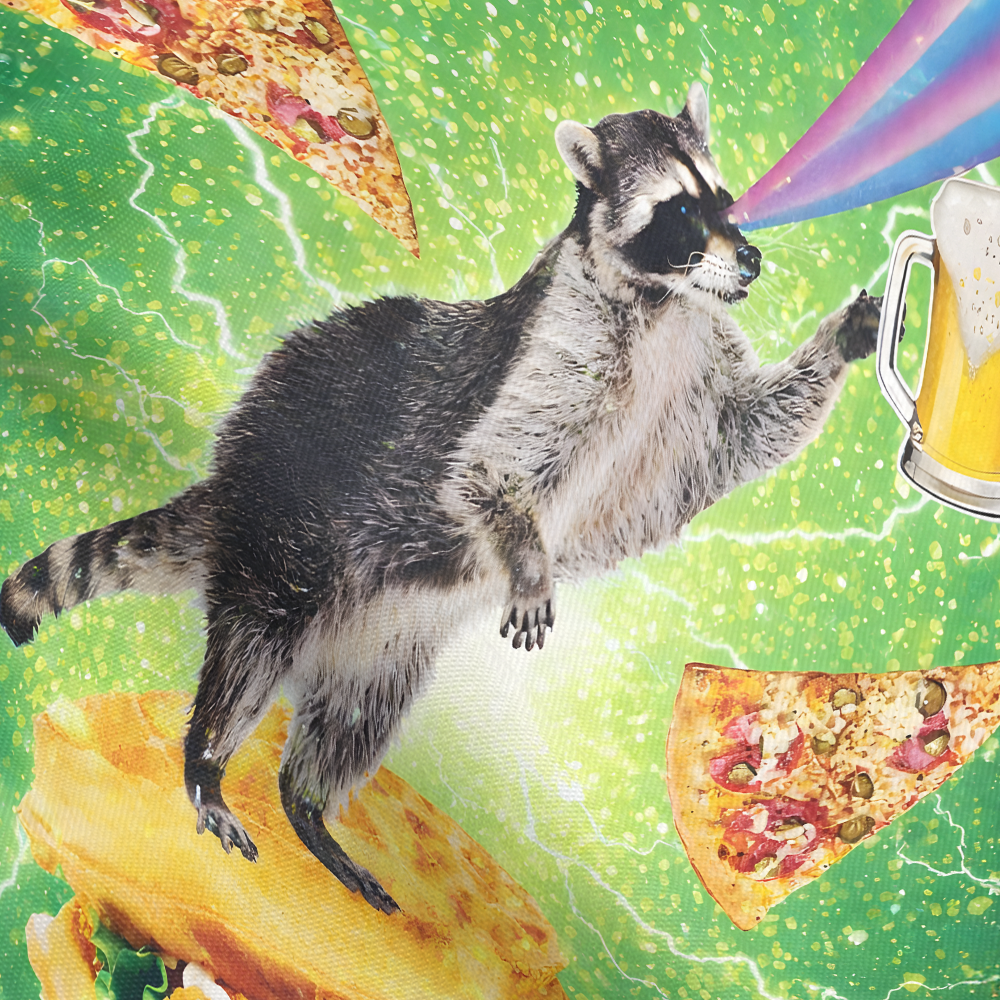 Raccoon Party Mode